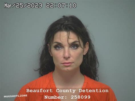 Lauren Alston 03 25 2023 Beaufort County Mugshots Zone