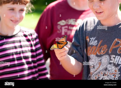 School Children Releasing Tagged Monarch Butterfly Stock Photo Alamy