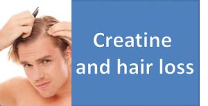 Does creatine cause hair loss? – Endhairloss.eu