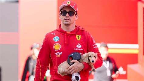 Lewis Hamilton and Charles Leclerc F1 rivalry takes unlikely turn as ...