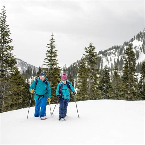 Tubbs Flex Alp Backcountry Snowshoes Absolute Snow