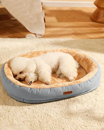 NEWHEY Cama para Perro Grande Mediano Chico Cama para Gato Cómoda Cama