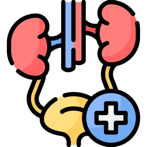 Urology Free Icon