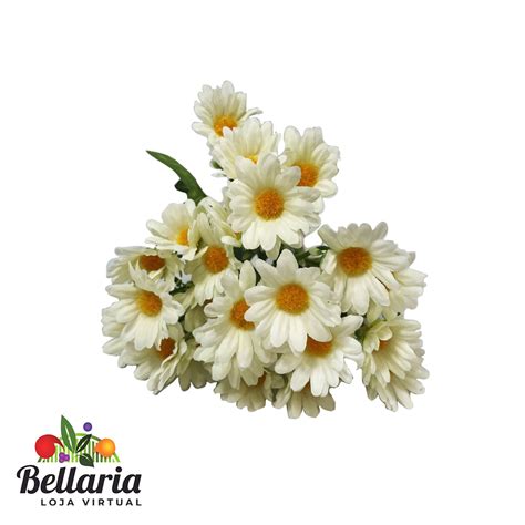 Buqu De Flores Margarida Mini Nude Loja Bellaria Ess Ncia Base