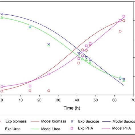 Experimental Symbols And Model Predicted Solid Line Profiles For