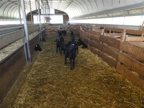 Les Noisetiers Tous Les Bons Produits Bio De La Ferme