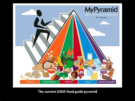 The USDA Food Guide Pyramid Anthropology of Food