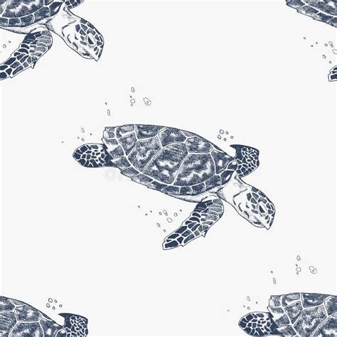 Tortugas Un Paquete Dibujado Mano Del Vector Ilustraci N Del Vector