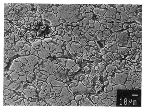 Intergranular Corrosion Ssina