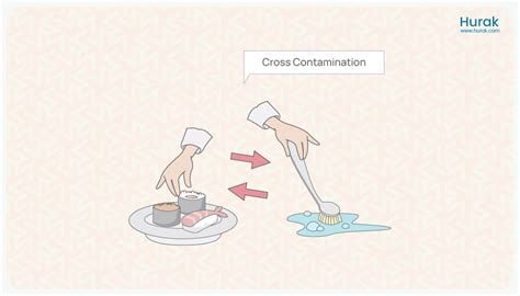 How To Protect Food From Cross Contamination