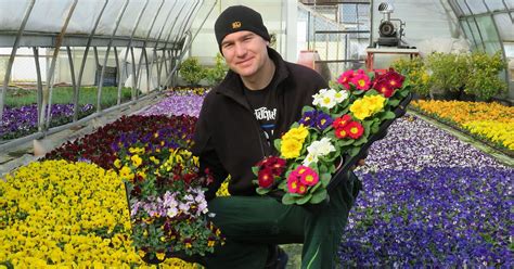 hoyte24 Nachrichtenportal für Hoyerswerda Bunte Blumen für Gärten