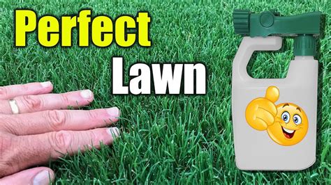 How To Get Thick Green Lush Lawn Quickly Youtube