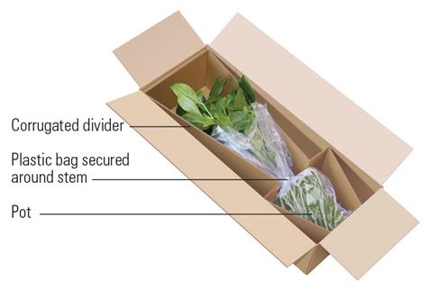 How to Ship Plants | ShippingEasy