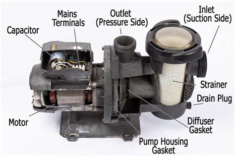 How To Remove And Replace Pool Pump Impeller