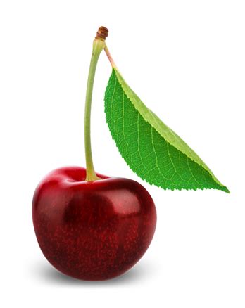 Cherry PNG Transparent Background Images | pngteam.com