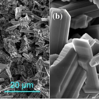 Sem Images Of The Nanostructured Ga O Grown On The Au Coated