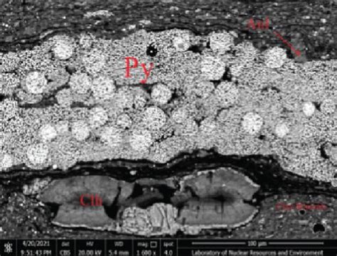 Micrograph Of Shale Minerals Of Shale In Chang Member A Illite