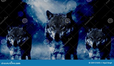 Pack of Wolf Full Moon Night Illustration Stock Image - Image of person ...