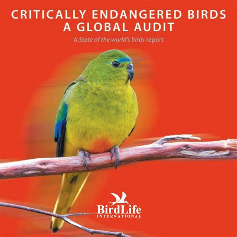 Bird In Everything: Endangered Birds List