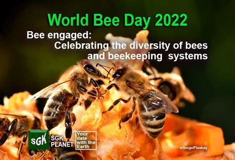 World Bee Day 2022 Sgk Planet