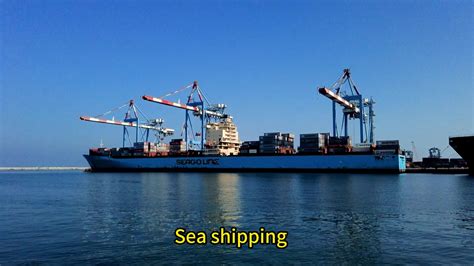 Professional Sea Shipping Freight Forwarder From China To Usa Saudi