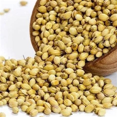 Ashoka Kg Coriander Seed Packaging Type Gunny Bag At Rs