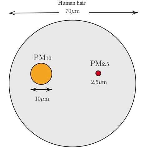 Comparison of a human hair vs. PM10 vs. PM2.5 | Download Scientific Diagram