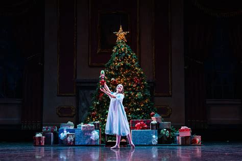 Holiday Fantasy in Lights | Madison WI