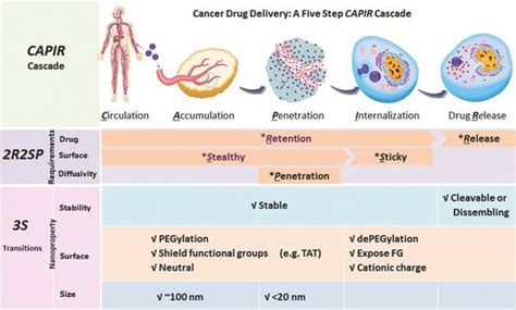 2017上半年生物材料前沿技术在医疗科学的应用研究