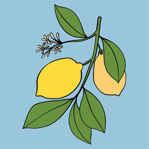 Scarabocchiare A Mano Libera Disegno Di Frutta Di Limone Arte