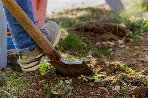 Dein Grüner Faden GreenCity e V