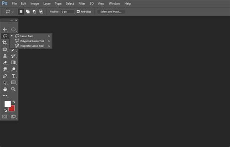 Lasso Tool Tips For Photoshop Unlock Your Creativity