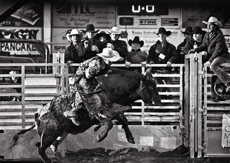 Picture Window photo blog : Indoor pro bull riding for the Daily ...