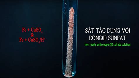 Thí nghiệm Fe CuSO4 và CuSO4 H Iron tác dụng với dung dịch copper