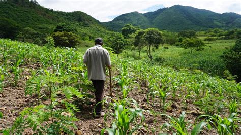 Wie Gehts Vor Ort Weiter Was Gerade In Unserem Nicaragua Projekt