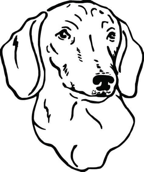 Wiener Dog Clipart | Free download on ClipArtMag