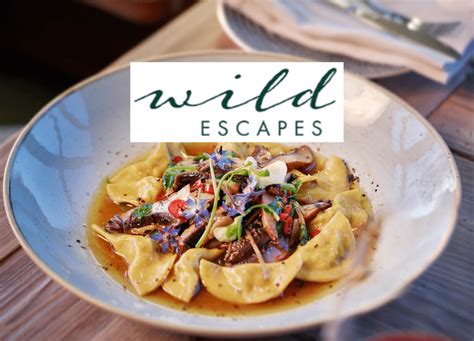 Lowe Family Wine Co | Wild escapes