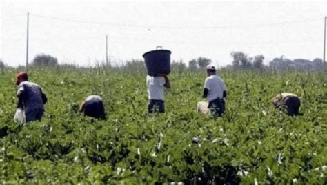 L Indagine Dei Carabinieri Sui Minorenni Sfruttati E Discriminati Nelle