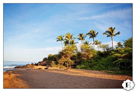 Associate Coverage: Irene and Jeff’s Romantic Hawaiian Beach Wedding ...