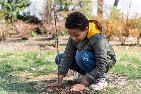 Imágenes de Ninos Plantando Arboles Descarga gratuita en Freepik