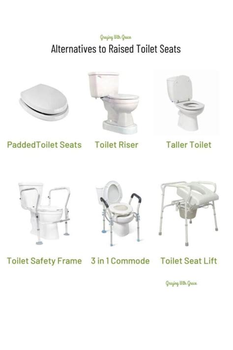 Best Raised Toilet Seats For Seniors The Elderly Safer Toileting Artofit