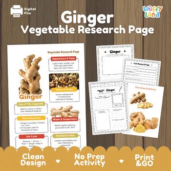 ginger research project vegetable science activity plant life cycle