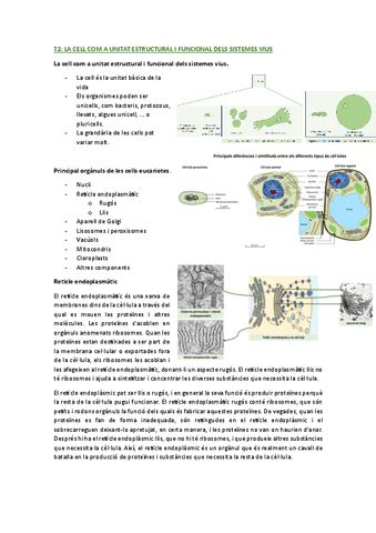 TEMA 2 FONAMENTS BIO Pdf