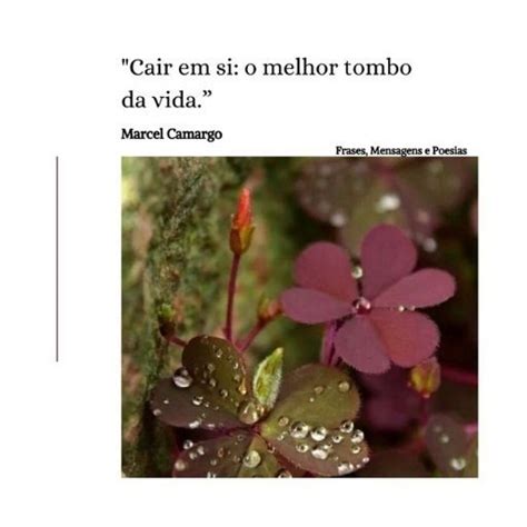 Frases Mensagens E Poesias Cair Em Si Angela Mural Plants Falling