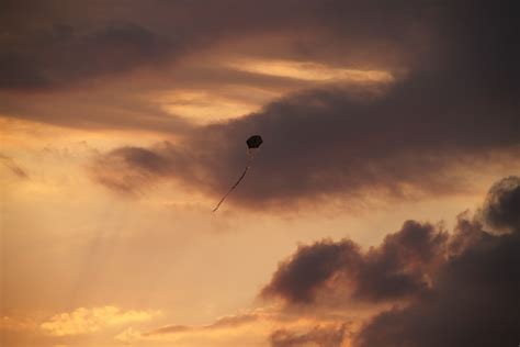 Images Gratuites Plage Paysage La Nature Horizon Silhouette