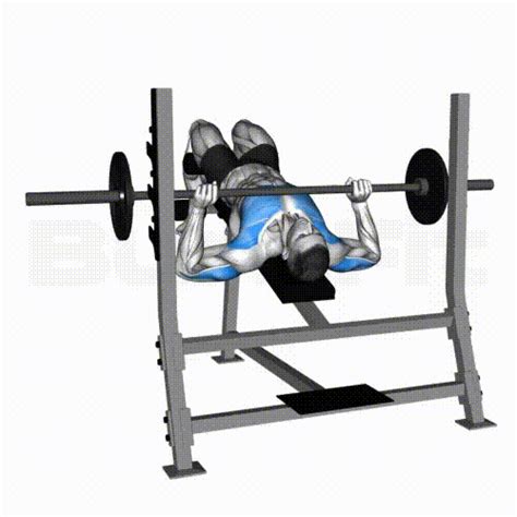 Barbell Decline Bench Press Smash Your Limit BurnFit