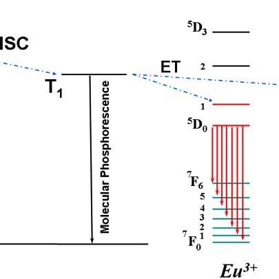 Jablonski diagram expliciting the energy transfer to the Eu(III) and ...