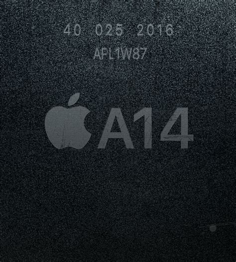 Apple A14 | Apple Wiki | Fandom