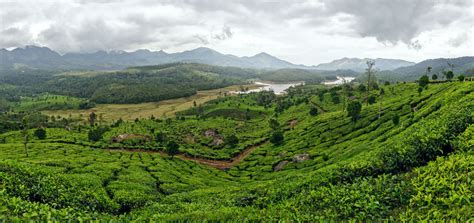 Best Scenic Trekking Trails In Munnar Tripoto