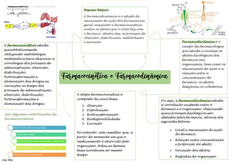 Mapa Mental Farmacodinamica Ll Enfermagem Porn Sex Picture